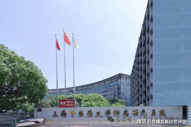 绿城逸庐售楼电话-浦东北蔡-纯粹改善高端墅区2026官方网站绿城逸庐欢迎您(图9) 绿城逸庐售楼电话-浦东北蔡-纯粹改善高端墅区2026官方网站绿城逸庐欢迎您(图9)